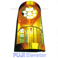 Подъемник лифта наблюдения FUJI для продажи (FJ-GA02)
